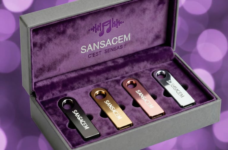 coffret 4 cles USB musicale libre de droits SACEM pour restaurant