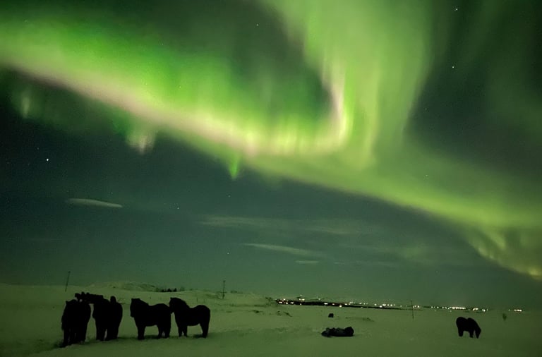 Aurora borealis or Northern Lights near Selfoss, Iceland