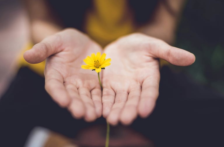 Photo mains et fleur de Lina Trochez sur Unsplash