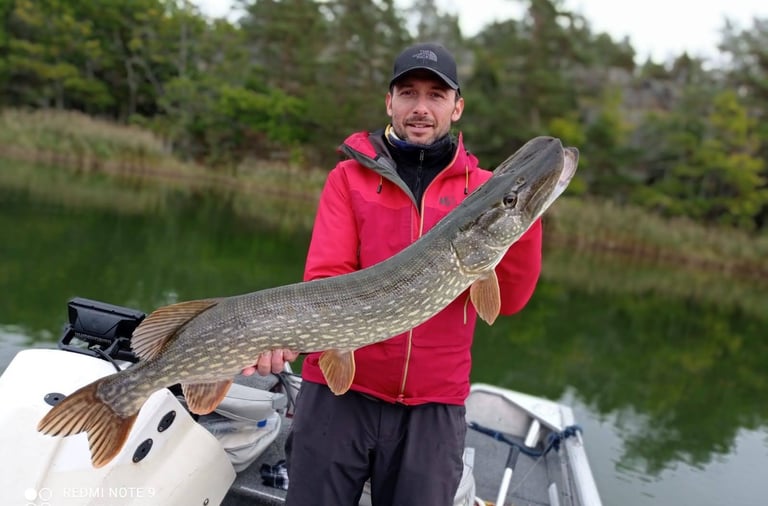 grace a fishing escape sweden, un pêcheur tient un gros brochet suedois. il y a des roseaux.