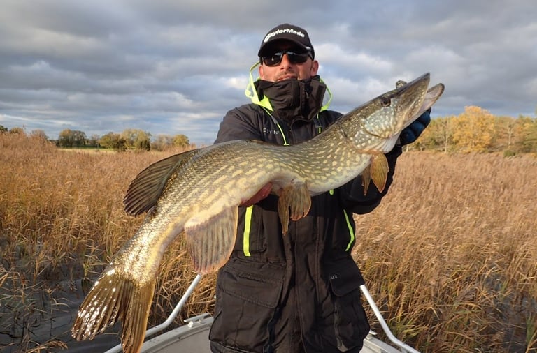 En fiskare håller i en gädda.