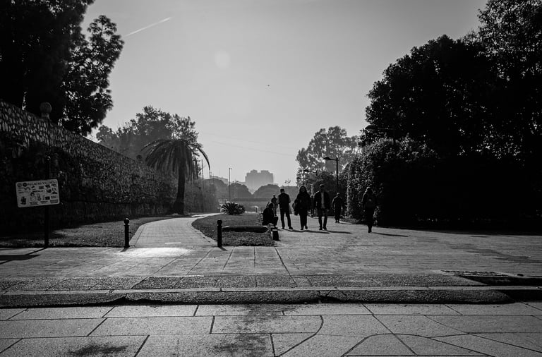 Foto no clasificada 7