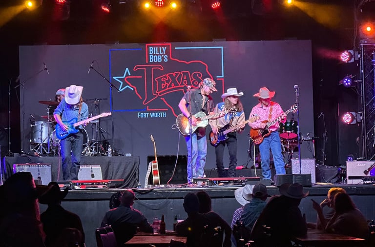 a band of musicians performing at a concert