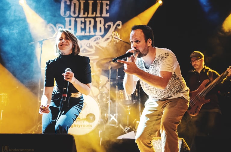 Collie Herb & Jo Elle