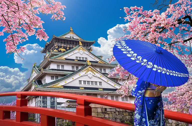 Japan Castle Osaka Kimono Sakura Cherry Blossoms