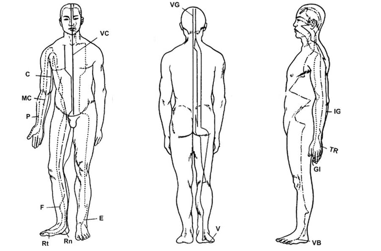 schéma des méridiens du corps humain en médecine traditionnelle chinoise
