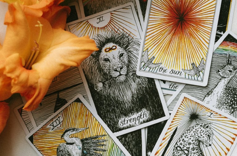 Animal Tarot. Photo by Zena Rice-Sarantis on Unsplash.