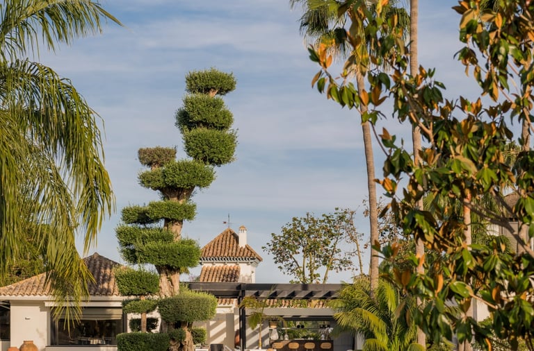 Main pool and sculpted olive tree garden at Villa El Olivo, Marbella