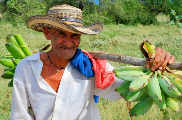 Campesino Costeño. Hombre trabajador incansable y noble de corazòn