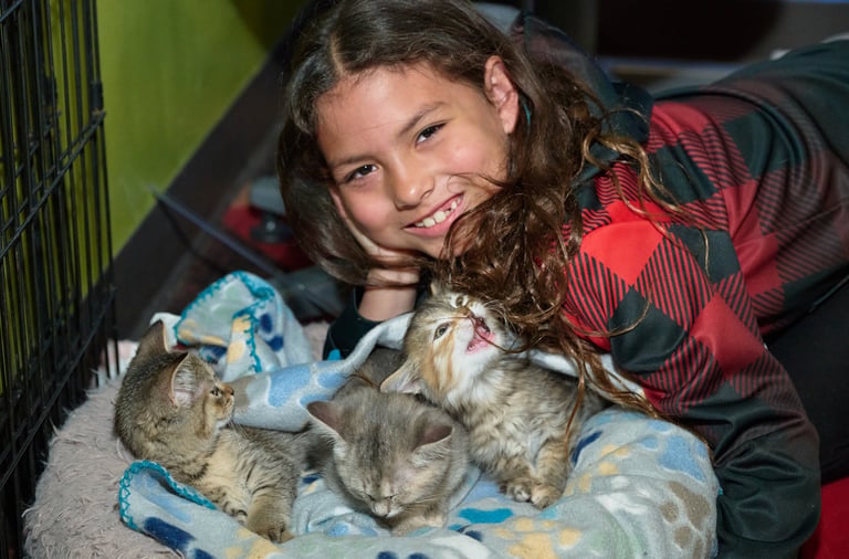 A smiling young girl lying down next to three small fluffy kittens resting on a soft blanket.