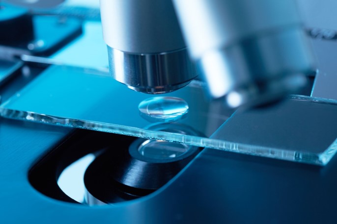 microscopio