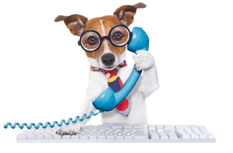 Book your appointment for pet grooming in Aatar 