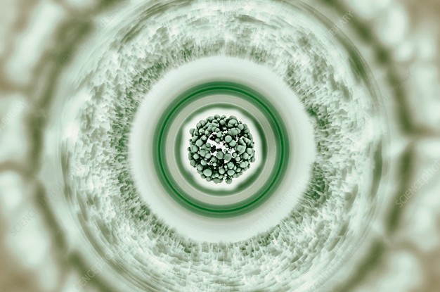 Science quiz interface for testing physics and astronomy knowledge.