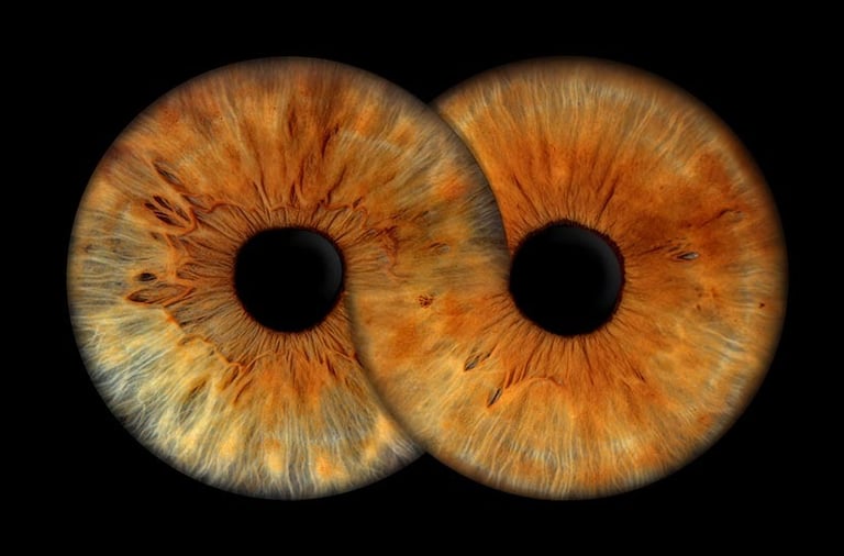 Iris Duo infini