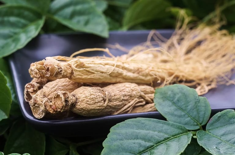 Siberian ginseng