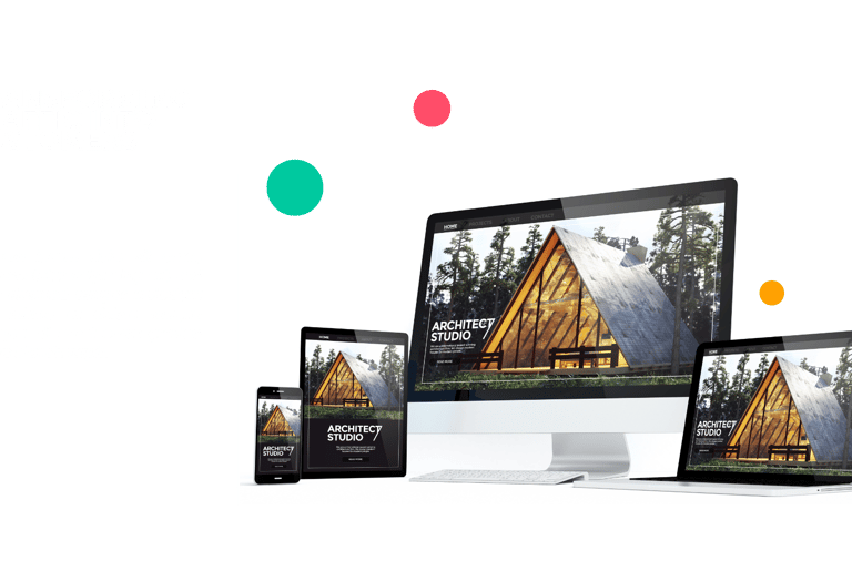 professional website