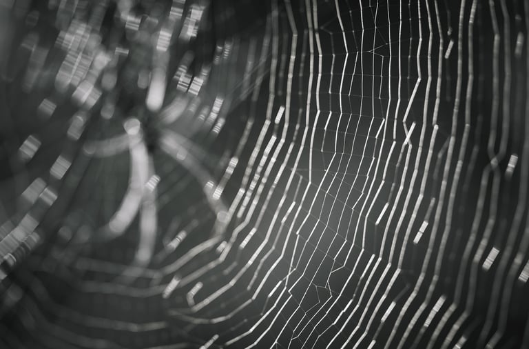 Quadro Fine Art minimalista em preto e branco com fotografia abstrata e poética de teia de aranha.