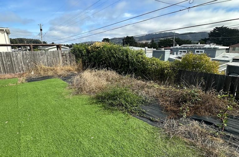 Affordable garden cleanup in Lafayette 94549, San Jose & Berkeley.