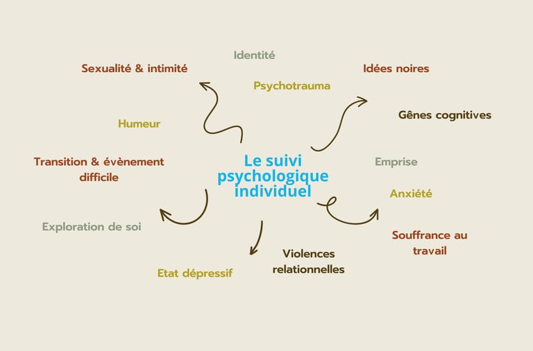 Schéma des thématiques prises en charge en suivi psychologique individuel. 
