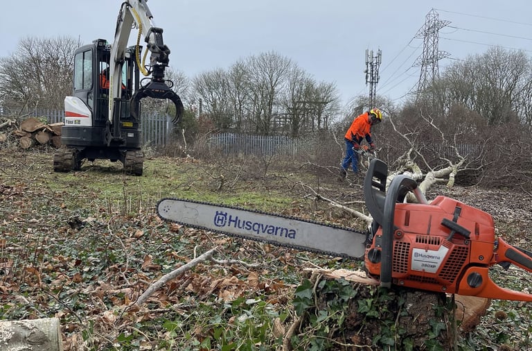 tree removal with a chainsaw