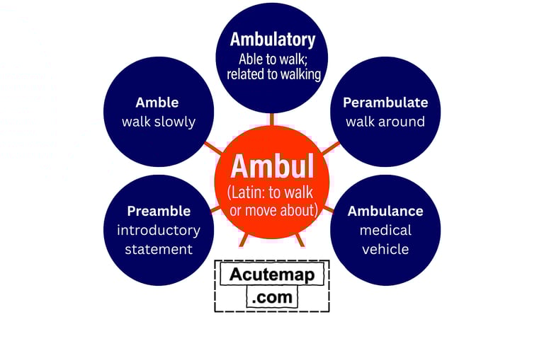 Root word Ambul, Vocabulary for SSC, UPSC