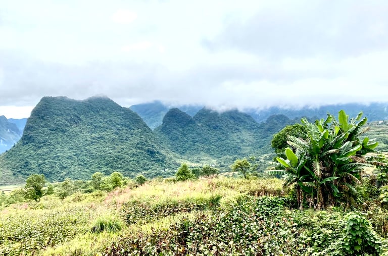 a mountain view of a mountain range with a few trees