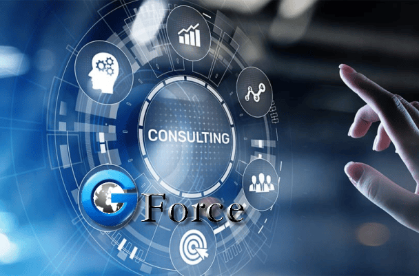 G Force - Technology Consulting