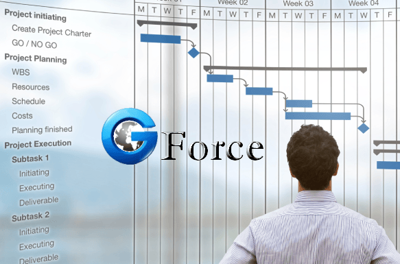 G Force Technology Consulting - Task Execution and Support