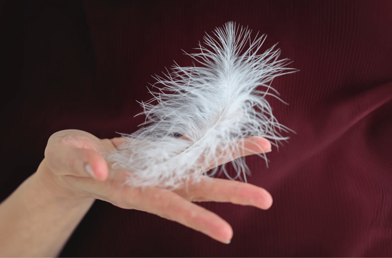 ThetaHealing mokymai - balta plunksna