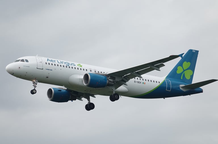 Aer Lingus A320-200 EI-DEH St Conleth on short finals to FRA/EDDF. 