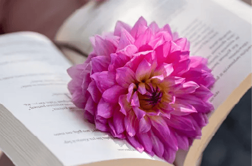 ThetaHealing metodika