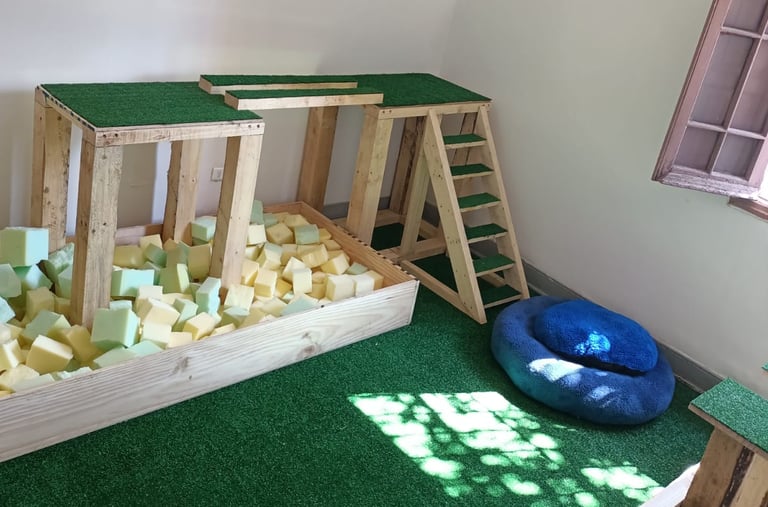 Modulo Propiocepción de perros