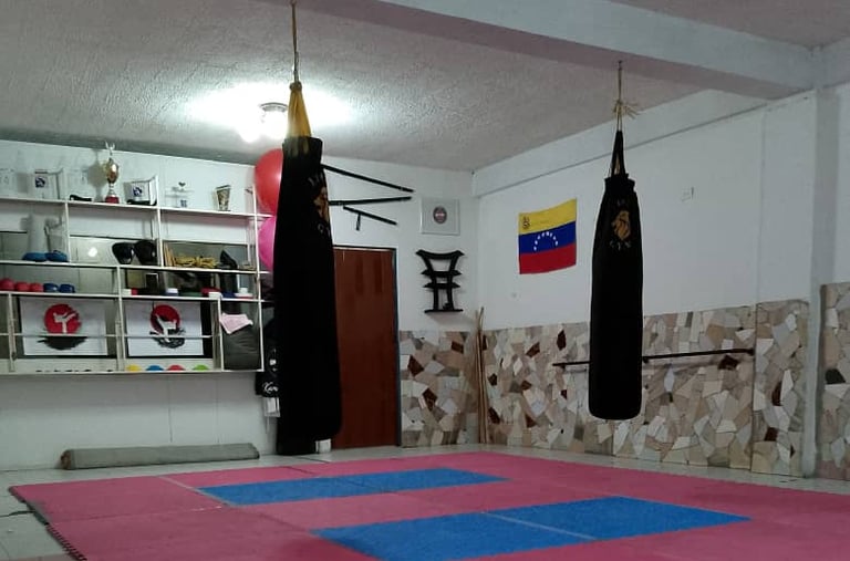 dojo ubicado en la sede de venezuela con tatami de entrenamiento y sacos de boxeo para karate