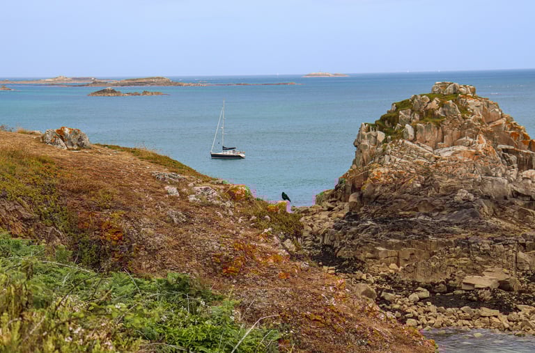 Herm