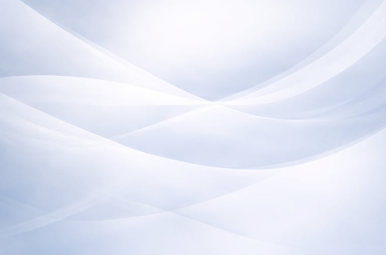 Susirinkimų sistemos peržiūra ir sprendimų priėmimo aiškumas