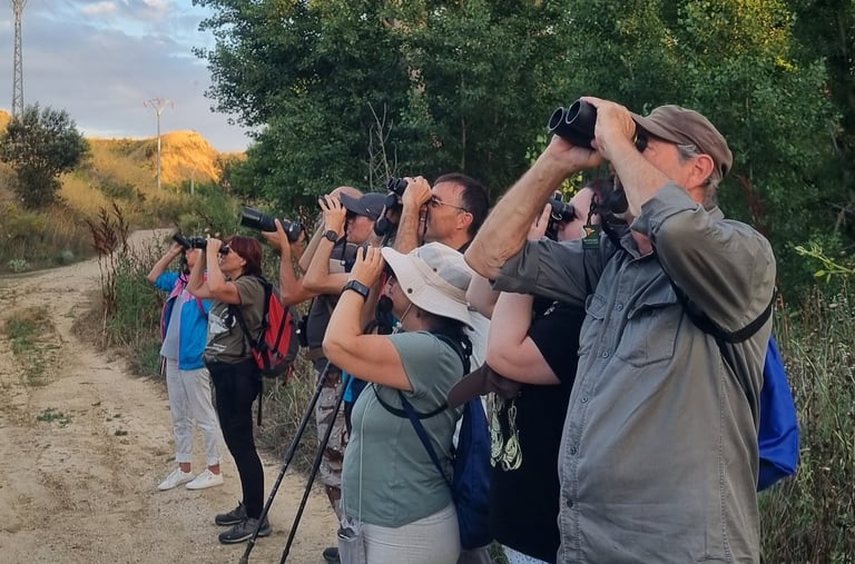 Personas haciendo una actividad en la naturaleza de observación de aves