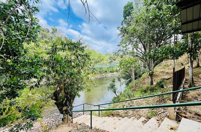 Stone stairs with green handrails leading down to a scenic tropical river surrounded by lush trees.