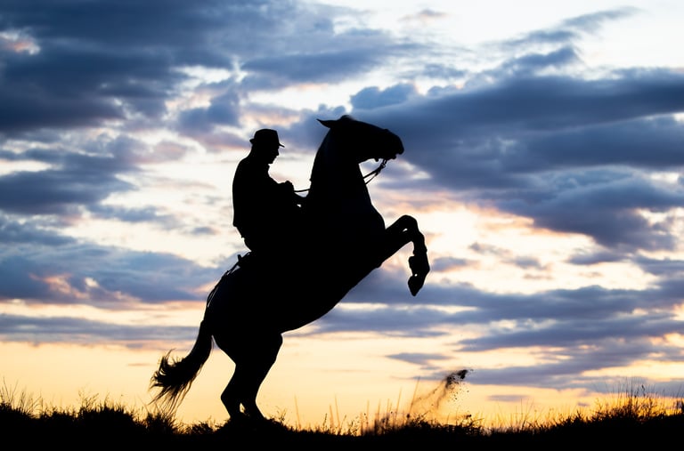 Silhouette of a cowboy riding a rearing horse against a dramatic sunset sky with clouds.