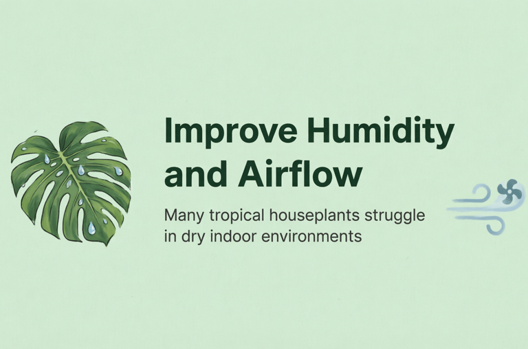 Improve Humidity and Airflow
