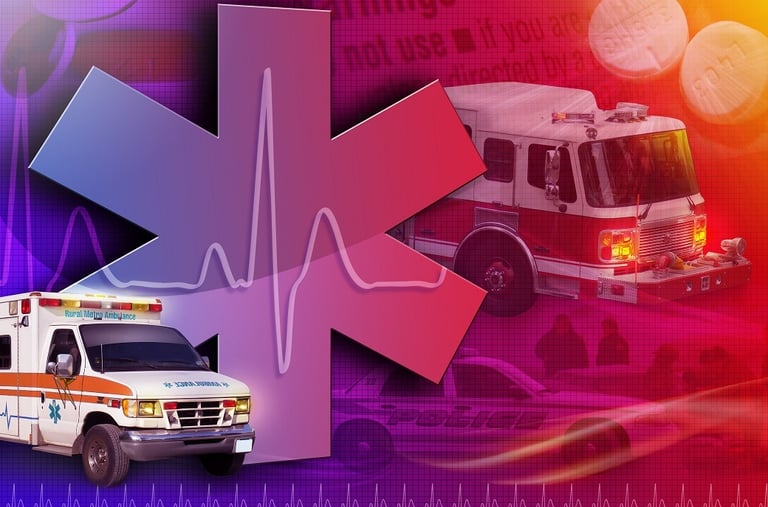 Call 9-1-1 by Joy of Life Clinic, Baltimore, MD