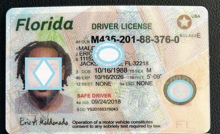 fake id