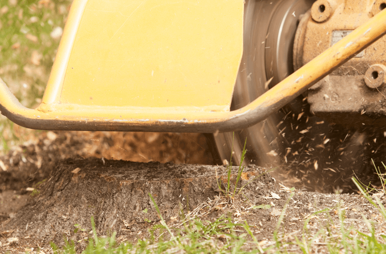 Stump Grinding