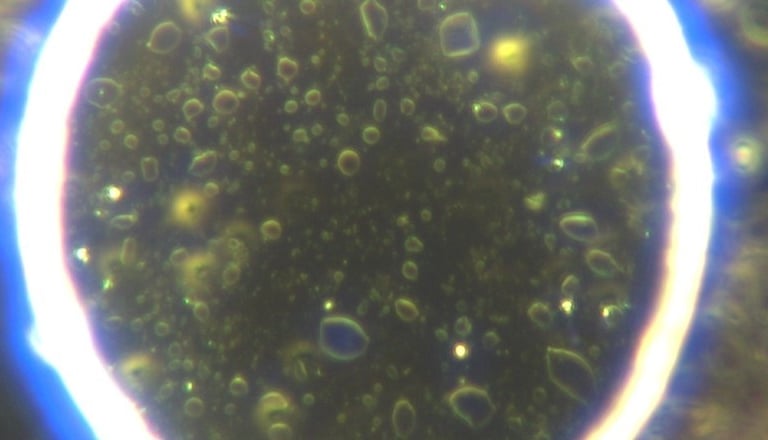 Image: perfect sphere with innumerable smaller micellar spheres growing and replicating from nano to