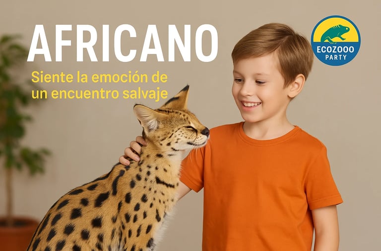 Cachorro de león en fiesta infantil CDMX – experiencia única con animales exóticos Ecozooo Party