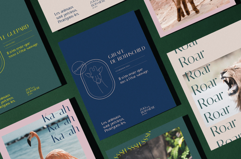 Identité de marque, ambiance et branding d'un zoo