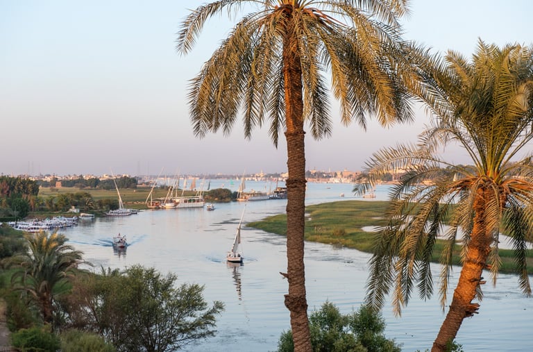 Traditional Egyptian felucca sailboats sailing on the Nile River in Luxor at sunset framed by palm trees.