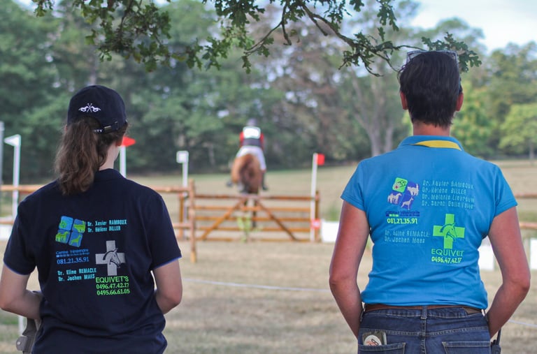 photo entreprise photographie veterinaire