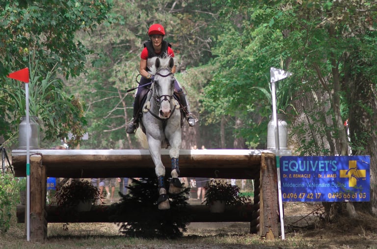 photo entreprise photographie veterinaire