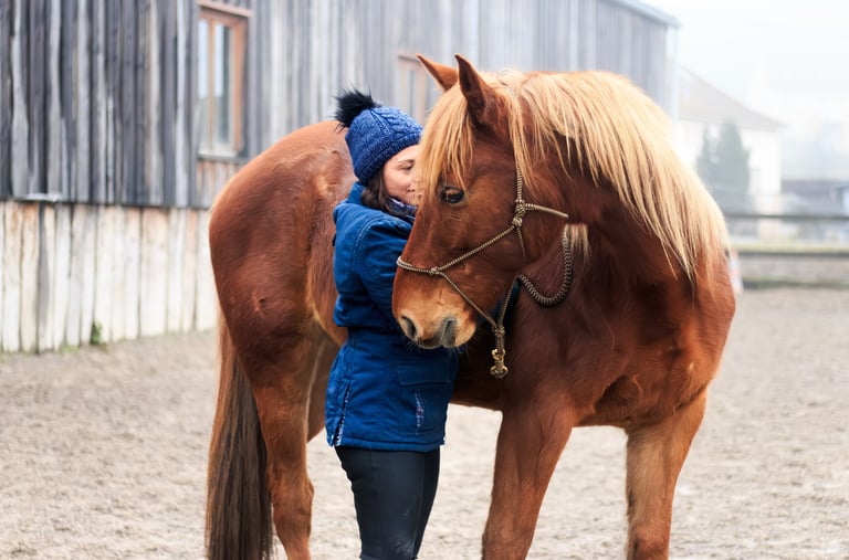 Ecoute attentive et bienveillante des besoins du cheval