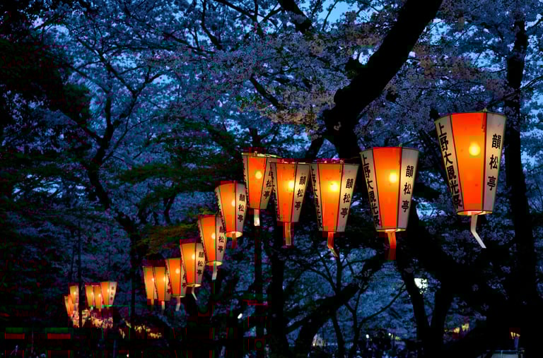 "Sakura Lights" - Hanami in Ueno Park, Tokyo, Japan